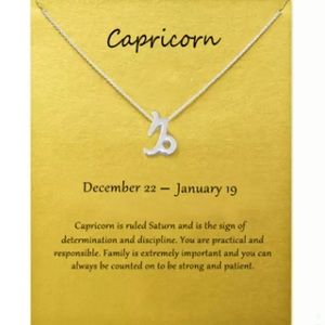 Capricorn ♑️ Zodiac Chains Necklace